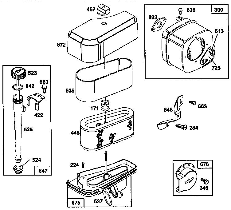 Air Cleaner Assembly Diagram and Parts List for 259700  Briggs and Stratton Engine